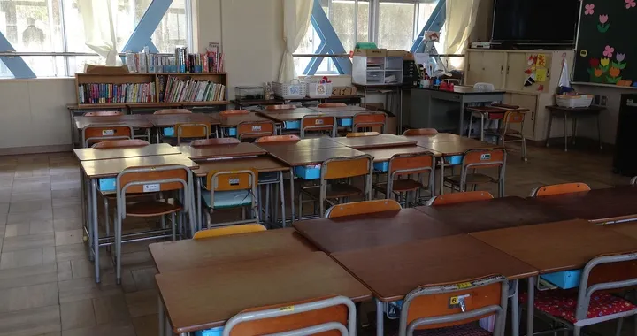 Govt policies stifling growth of low-cost private schools – GNAPS